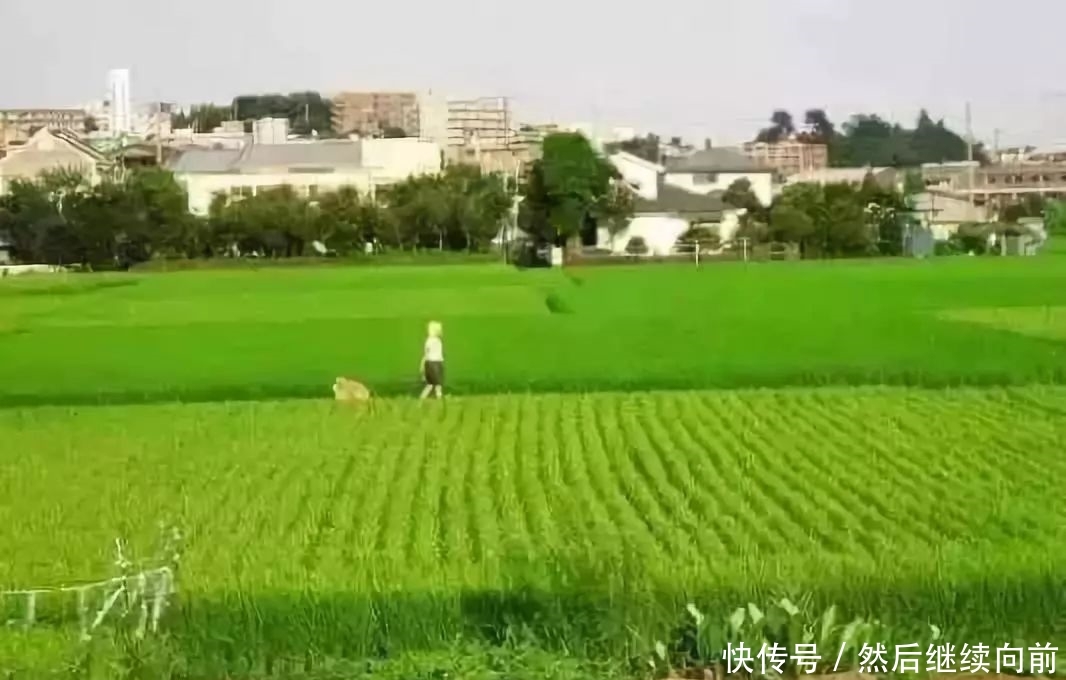  联系我们@日本的农村是怎样的？