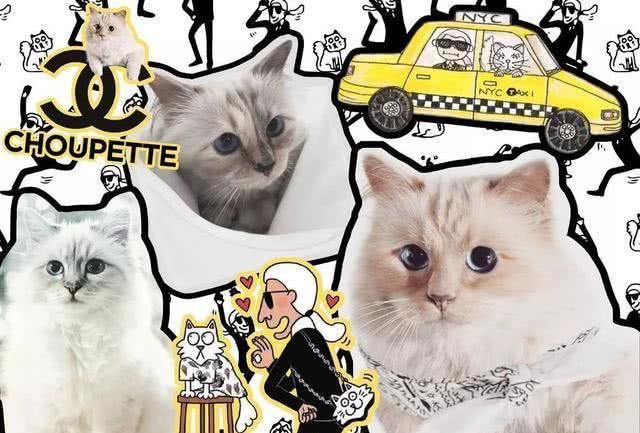  『Choupette』时尚教父“老佛爷”生前养的这只猫，有多幸运就有多难过