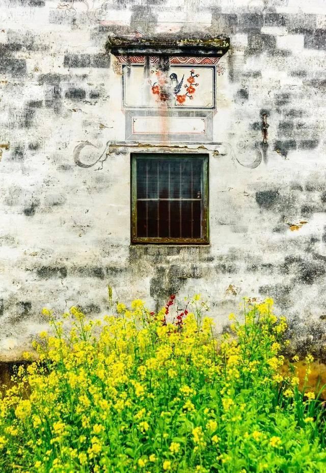 「世界观」此生,一定要和男朋友去旅行一次!