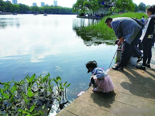  「家长带着孩子」有人下三四根钓竿，有人直接网捞？公园里的鱼儿“很受伤”