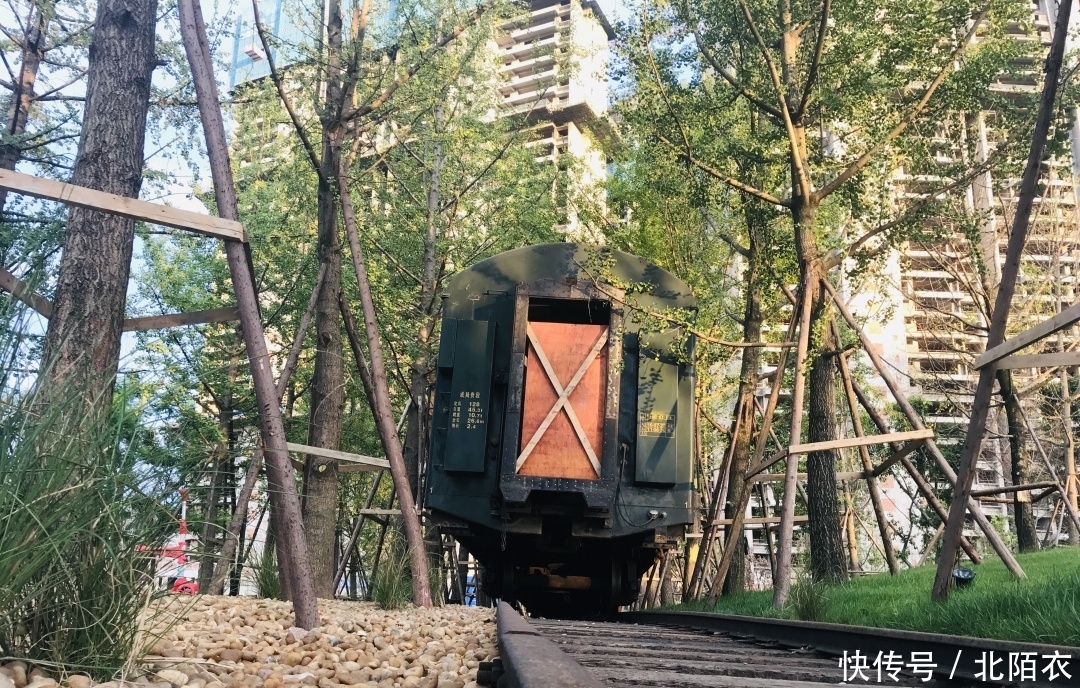 乱逛 | 沙河源公园,北门的又一个新新公园