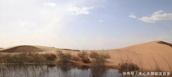  结果@中国内蒙古发生奇迹将黄河的水引入沙漠之后，竟出现这种结