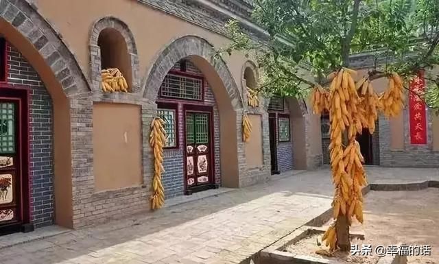 太太太太惊叹了！在地下4000年不灭！神人震撼全球！