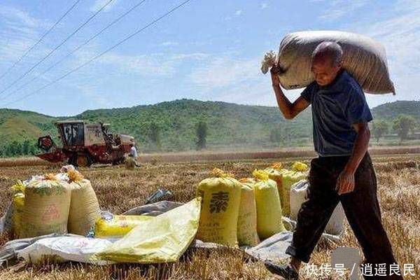 农民们注意了，这两种农业补贴开始发放了！