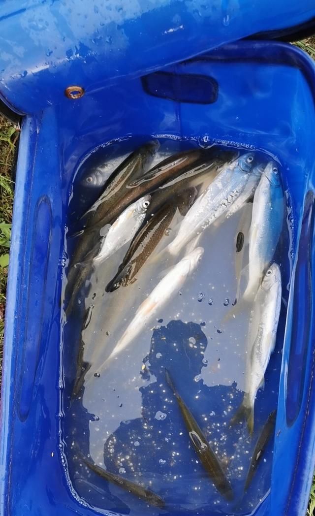  【失误】一个大的失误，造成鱼杆失踪！含泪警告钓友