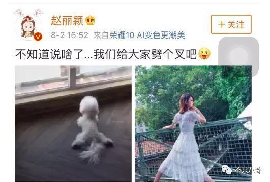 否认怀孕！冯绍峰请大家不要谣传