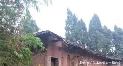 主动退出宅基地，可拿20万补偿，农民为何不参与专家说出实情