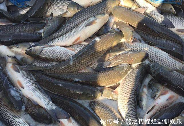  「不少」去年高价不愁卖，今年卖多少亏多少，养殖户：这年不好