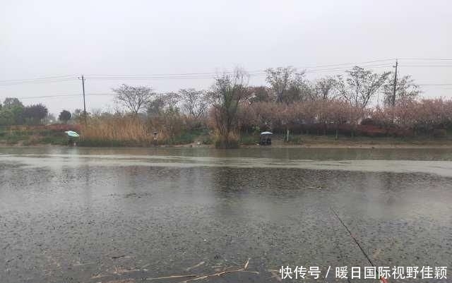  『气温突降』近几日天气突变！水温降、产卵停，重返大鲫、大鲤垂钓黄金期