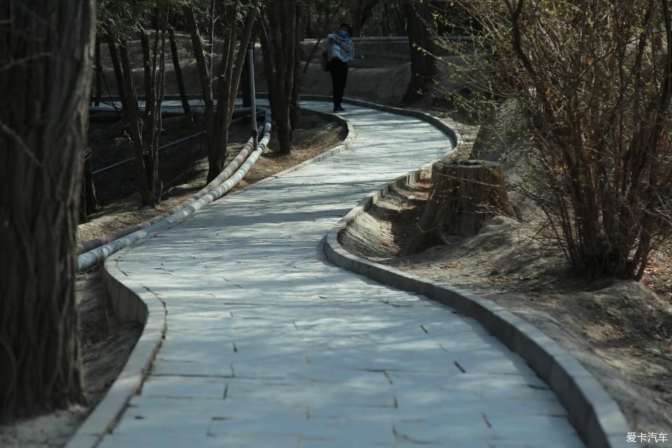  『兰州』大王泒我去巡山【2】兰州碑林