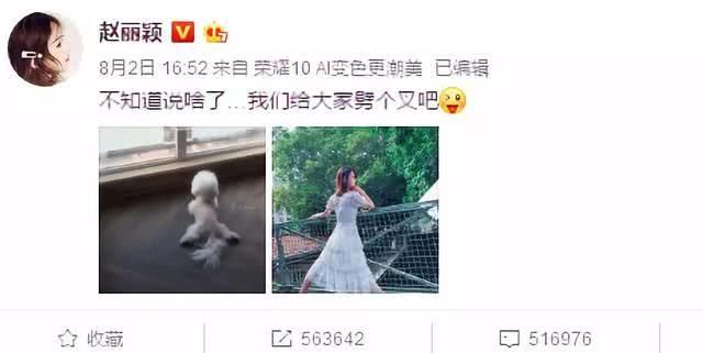 赵丽颖力破谣言？网友却拍到不一样的画面，爱犬还被寄养给朋友！