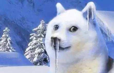 冷冷！寒潮已到达！你在发抖，国宝却不冬眠，连猴子都在泡温泉