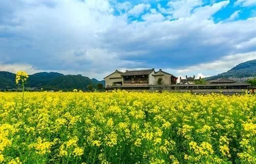 和顺古镇列入5A景区预备名单 这里的春天到处都吐露着希望【推荐周边游】