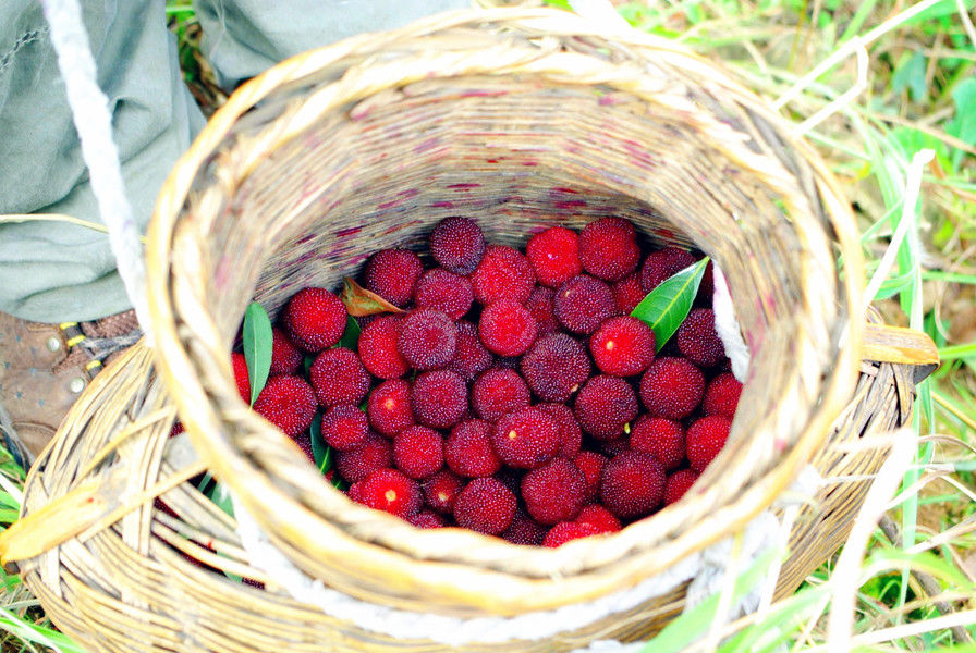 2018端午去哪玩,人少景美的端午好去处推荐