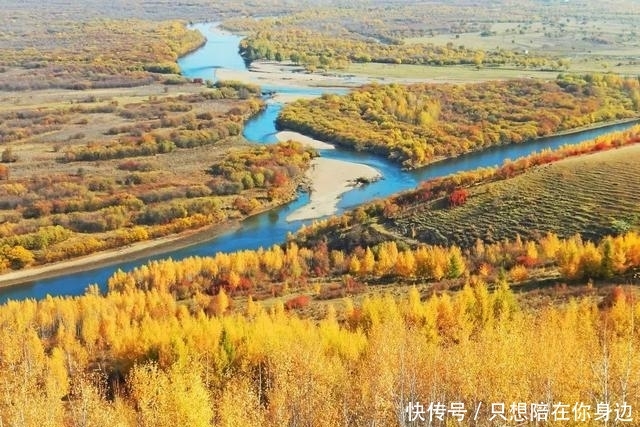 呼伦贝尔的秋天，美的太高级