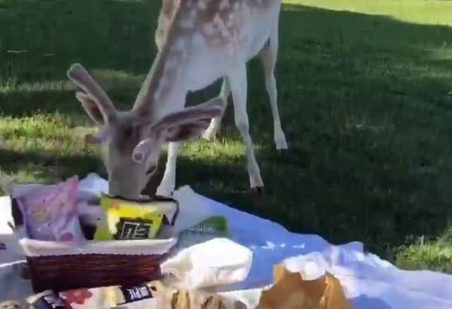 没体会过哈尔滨的冬天，实在是人生的一大憾事！