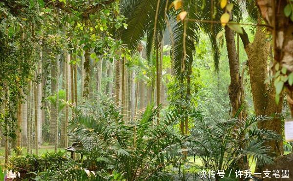 云南的必游之地，大自然的美丽景观