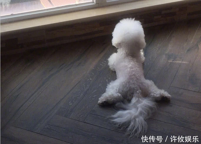 赵丽颖解锁新技能打脸无耻造谣者，但这招只有瘦的女星能用上