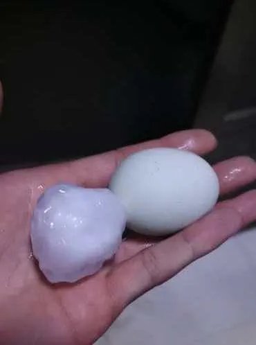  鸡蛋■枣庄今晚狂风暴雨！还下了鸡蛋大冰雹！