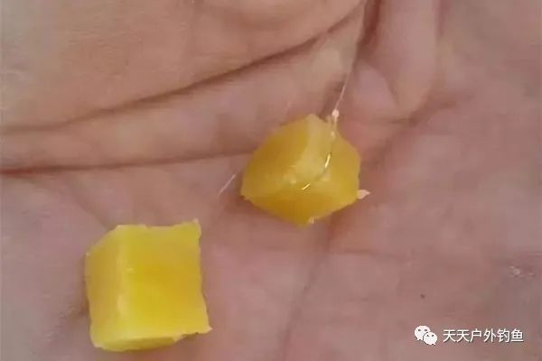 成红薯泥■几款民间自制红薯饵料，小鱼不沾，通杀鲫鲤，野钓必备饵料！