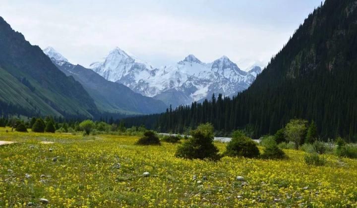 新疆旅行, 偶遇几个老师, 四女一男租车自驾同吃同住近一周