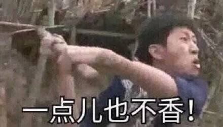  复制：暴雪最拼的一次？为了给最后一位英雄找牌面，生生累垮配音演员？