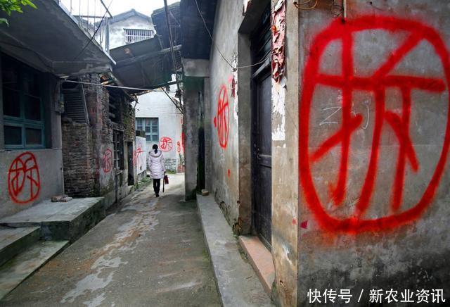 为什么农村很多房子，明明都好好的却没人住？老农总结得很到位