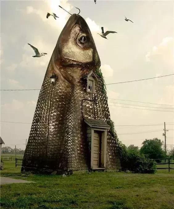 到轰动世界的照片，打开看看！