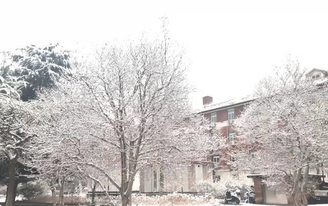 晴天适合相见,雪天适合思念