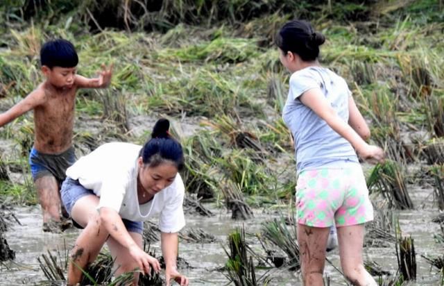  发家致富■30年前田里随便抓，如今40块钱1斤成抢手货，农民靠它