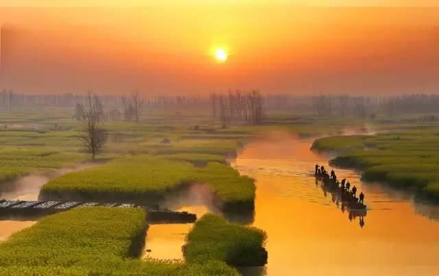 最江南的花海：惊艳不输婺源，情调不输威尼斯