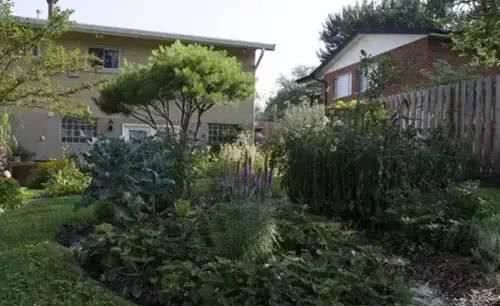  『蔬菜种植』养花种树，也栽菜！