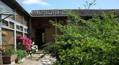 『小院』20多岁的年龄差距,却把一个破烂的农家小院变成了“桃花源”