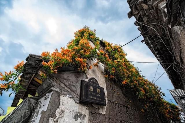 江苏最冷气温多少