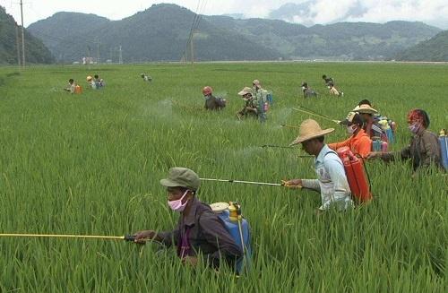 3种违禁用品，在农村已经“夺过人命”，还在偷用的农民，要小心