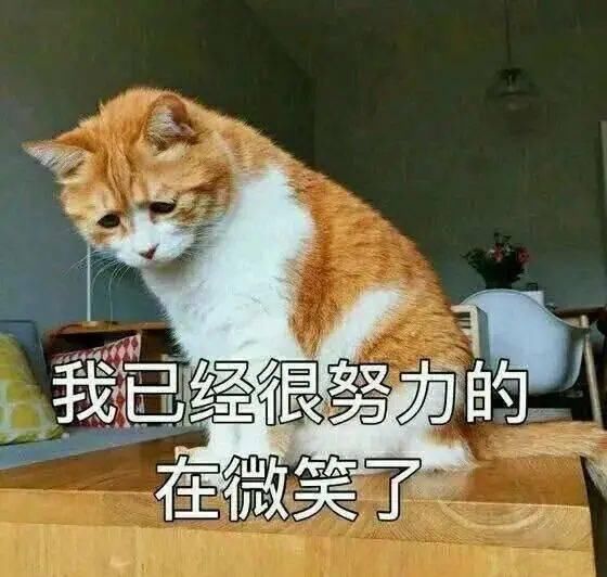 『短袖』【妆衣时尚潮流】现在开始穿西服 短袖了,给你美爆全部初春!!