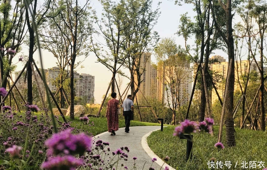 乱逛 | 沙河源公园,北门的又一个新新公园