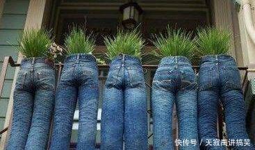 奇葩女子把旧牛仔裤变废为宝，种上一些花草，令人大开眼界