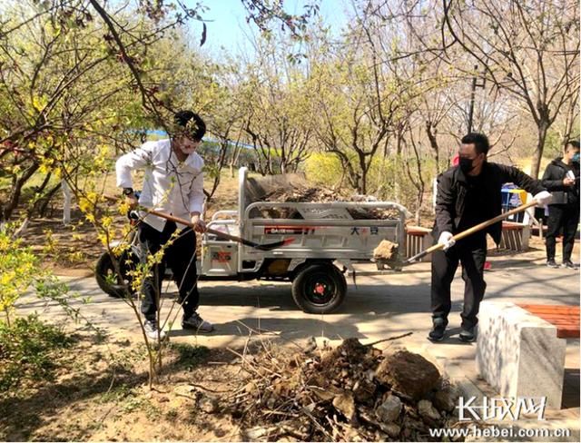 #城市#河北开展爱国卫生城市清洁行动