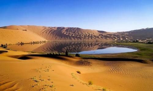  【中国】中国沙漠种树，以色列沙漠建鱼塘，年产1700吨，吃不完
