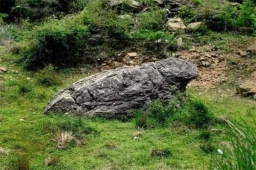 中国唯一一个没有蚊子的宝地,景色宜人,是很值得旅游的好去处