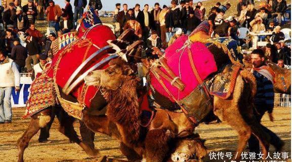 该物种全球仅1400万只,渴不死饿不死,没想到却被人类烤着吃