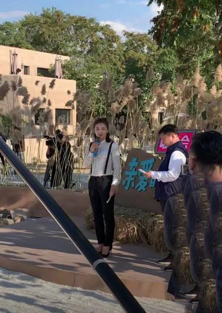 张翰马天宇收视率