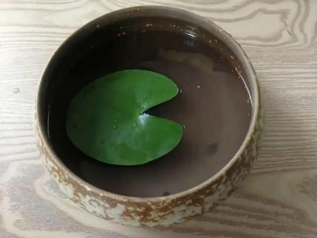  『简直』只用水不用土的植物，一片叶子就开花，简直太神奇了！
