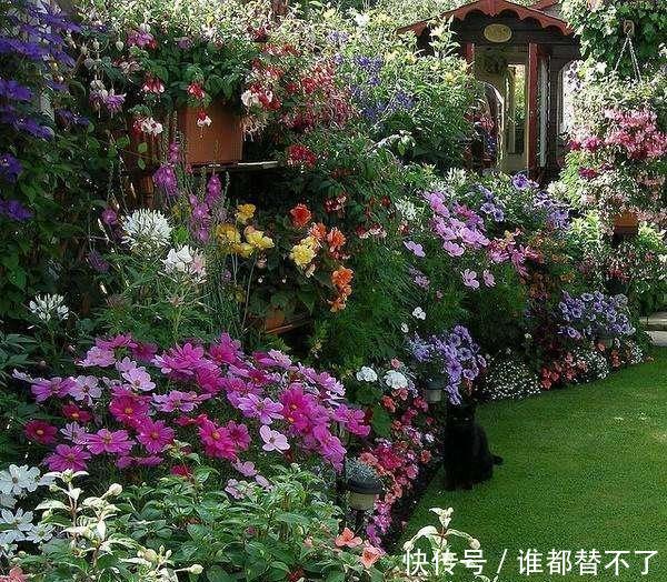 高度@阳台别瞎养花,这样巧搭配,美出新高度,美色不浪费