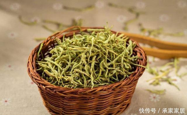功效@养花就该养这几种,养花又能养自己,医生都推荐