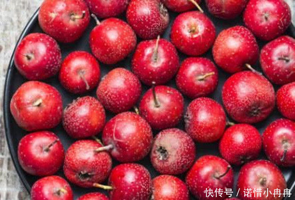 「根部」蒲公英泡水去肝火,叶子和根哪个好?二者功效各不同,您选对了?