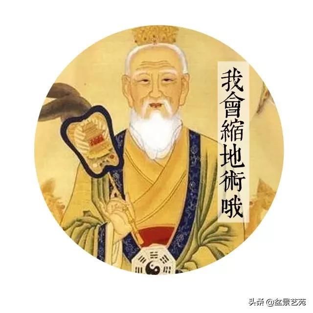  「成寸」盆景百态，缩地成寸