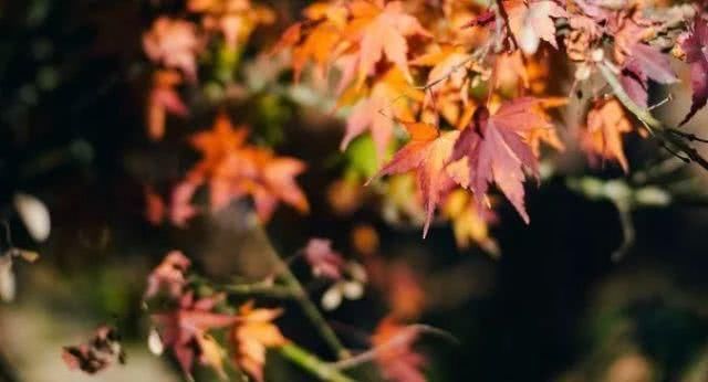 浙江不只有江南烟雨,这10个地方藏着浙江的绝美秋景