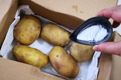  苹果@刚知道，保存土豆竟这么简单！3个土方法，放半年不变绿不